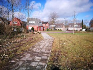 Lees meer over het artikel Rotzooi en sporen groenonderhoud binnenkort weg